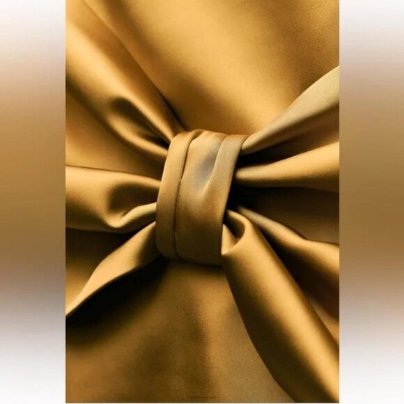 ZARA SATIN EFFECT BOW SKIRT ZW COLLECTION - Picture 6 of 7